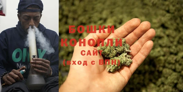 спиды Верея