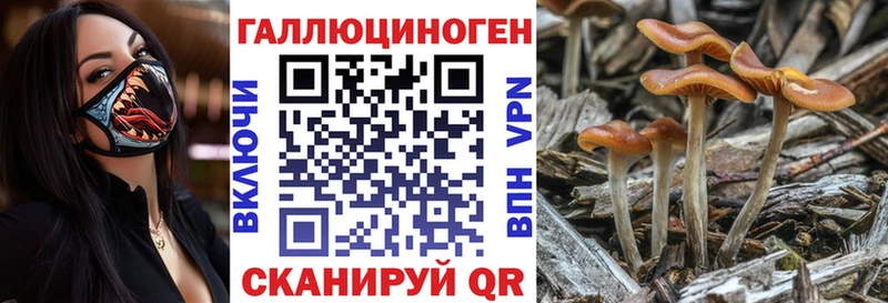 Галлюциногенные грибы ЛСД Гудермес
